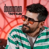 Dayanamam - Single - Soykan