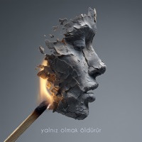 YalnIz Olmak OldUrUr