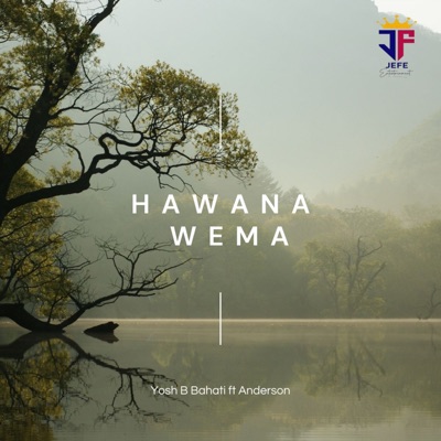 Hawana Wema (feat. Anderson) - Single