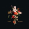 Christ Crucified (feat. Meredith Andrews)
