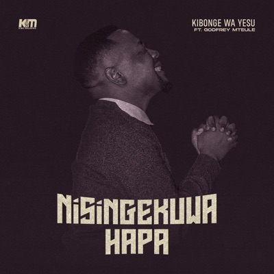 Nisingekuwa Hapa (feat. Godfrey Mteule) - Single