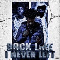 Back Like I Never Left - Single - YoYoTurnItUp, SSRichh33 & BabyApe