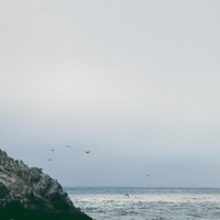 Past Life - Single - JOYANG