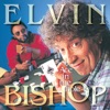 Elvin Bishop: Fooled Around And Fell In Love