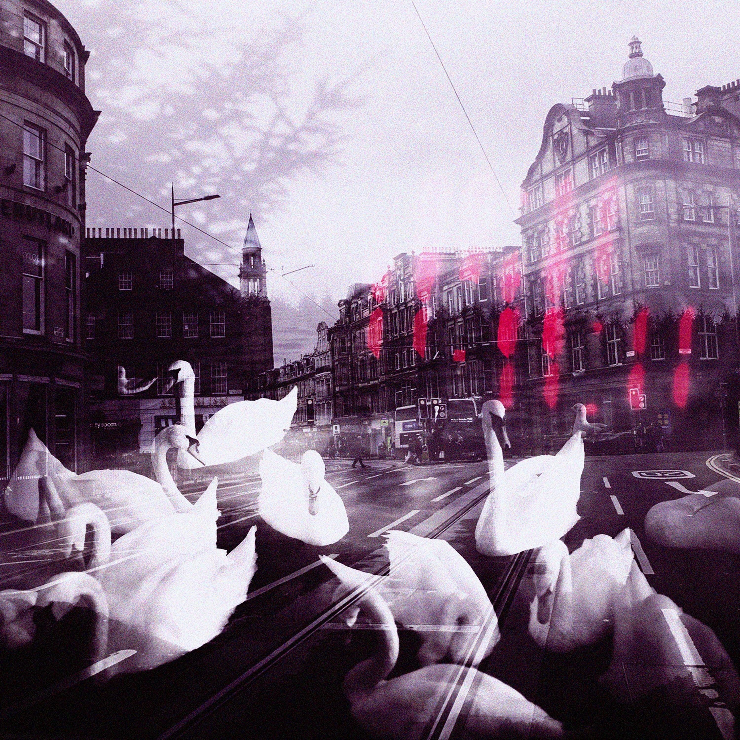 dreams you kept frozen