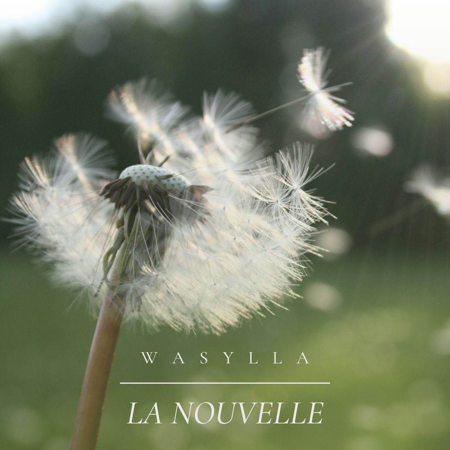 La Nouvelle - Single