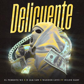 Delicuente (feat. Dilon Baby) EL PERROTE WZ, Wander Love & D Jam Saw