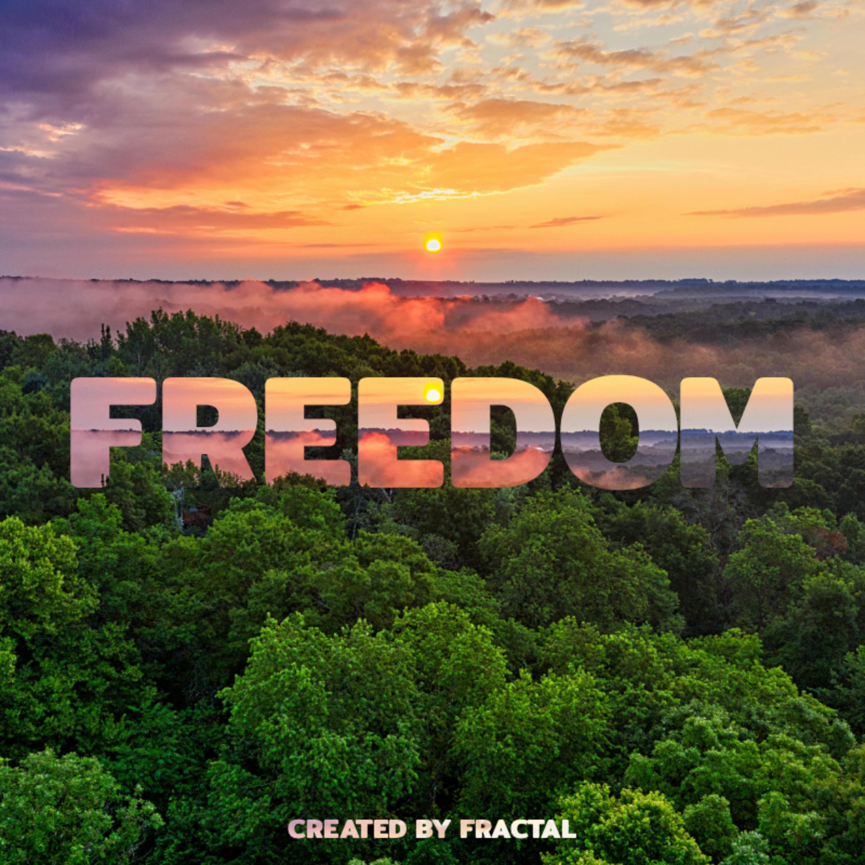 Freedom - Single