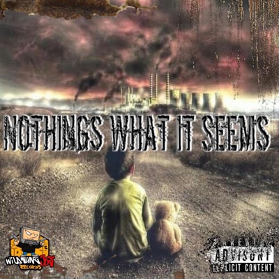 Nothing's What It Seems - Single