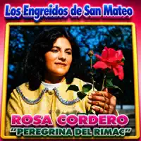 Amor De casado / La Rosa Blanca / La Viudita — Los Engreídos De San Mateo & Peregrina Del Rimac