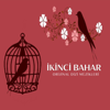 İkinci Bahar (Orijinal Dizi Müzikleri) - İncesaz