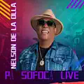 Estaba Borracho (Re-Recorded Live) - Nelson De La Olla (youtube)