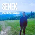 Piata Pietnascie