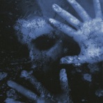 White Noise - Single