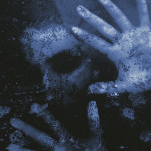 White Noise cover