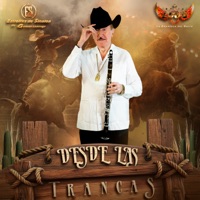 Desde Las Tracas - Single - Banda Estrellas De Sinaloa De German Lizarraga & Banda Lirio