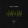 BEAUZ & Ceres - I Like It Bad artwork