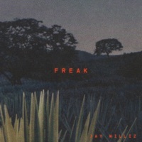 freak. - Single - Jay Williz