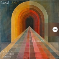 Tunnelvisions (The Note V Remix) - Single - MOM & ANuT