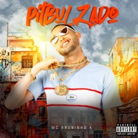 Pitbulzado - Single - Bruninho K & DJ Russo