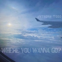 Where You Wanna Go? - Single - Anthony Todd