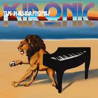 What's It All Mean? — The Philharmonik