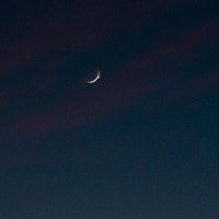 Wanted You - Single - UNDRGRND