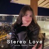 Stereo Love - Single