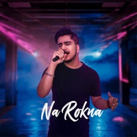 Na Rokna - Single - Shashwat Dixit