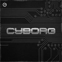 Cyborg - Single - DJ 33 & Wicked Selecta