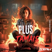 Plus Jamais - Single - Dj Seak