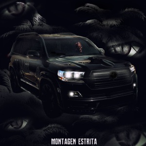 AUTOMOTIVO ESTRITA - EP