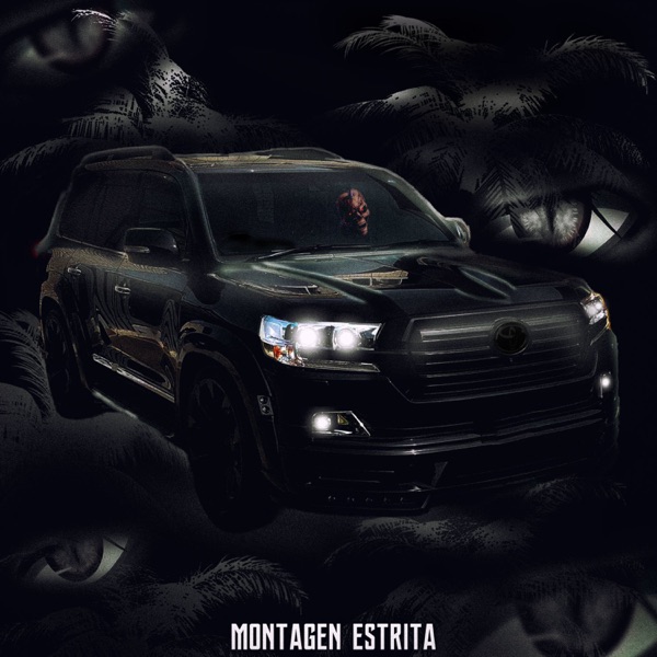 AUTOMOTIVO ESTRITA - EP