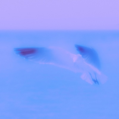 feeling (feat. shubb) - Single