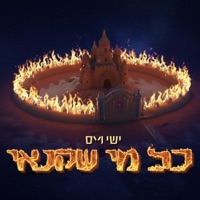 כל מי שקנאי - Single - ישי וייס