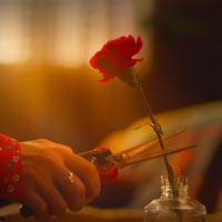 Fruitless Approval - Single - Sara Lina