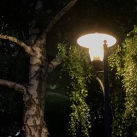 SUMMER FLIGHT - Single - dreamcore.wxe