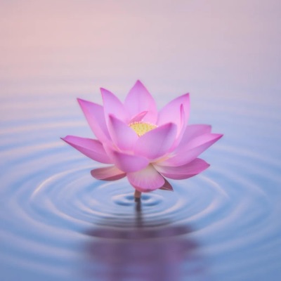 Relaxing Meditation & Yoga Music: Deep Calm for Mind, Body & Sleep