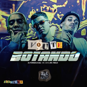 Vou Te Botando Eletrofunk (feat. Eletromix)