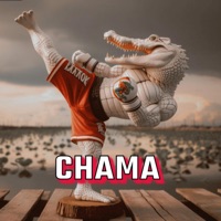 CHAMA - Single - Swamptree Sater