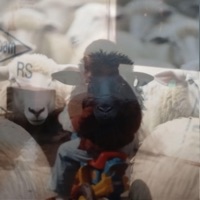 The Last Black Sheep - Single - Ricky RX