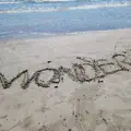 Wonder