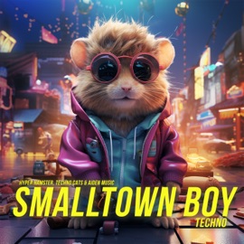 Smalltown Boy Hyper Hamster, Techno Cats & AIDEN MUSIC