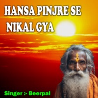 Hansa Pinjre Se Nikal Gya - Single - Beerpal