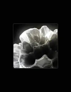 Écoutez lolopanter, regardez des vidéoclips, lisez la biographie, consultez les dates de tournée et plus encore !