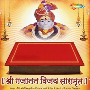 Shree Gajanan Vijay Saaramrut