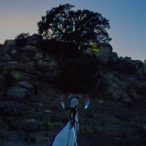 Lion - Single