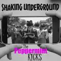 Shaking Underground