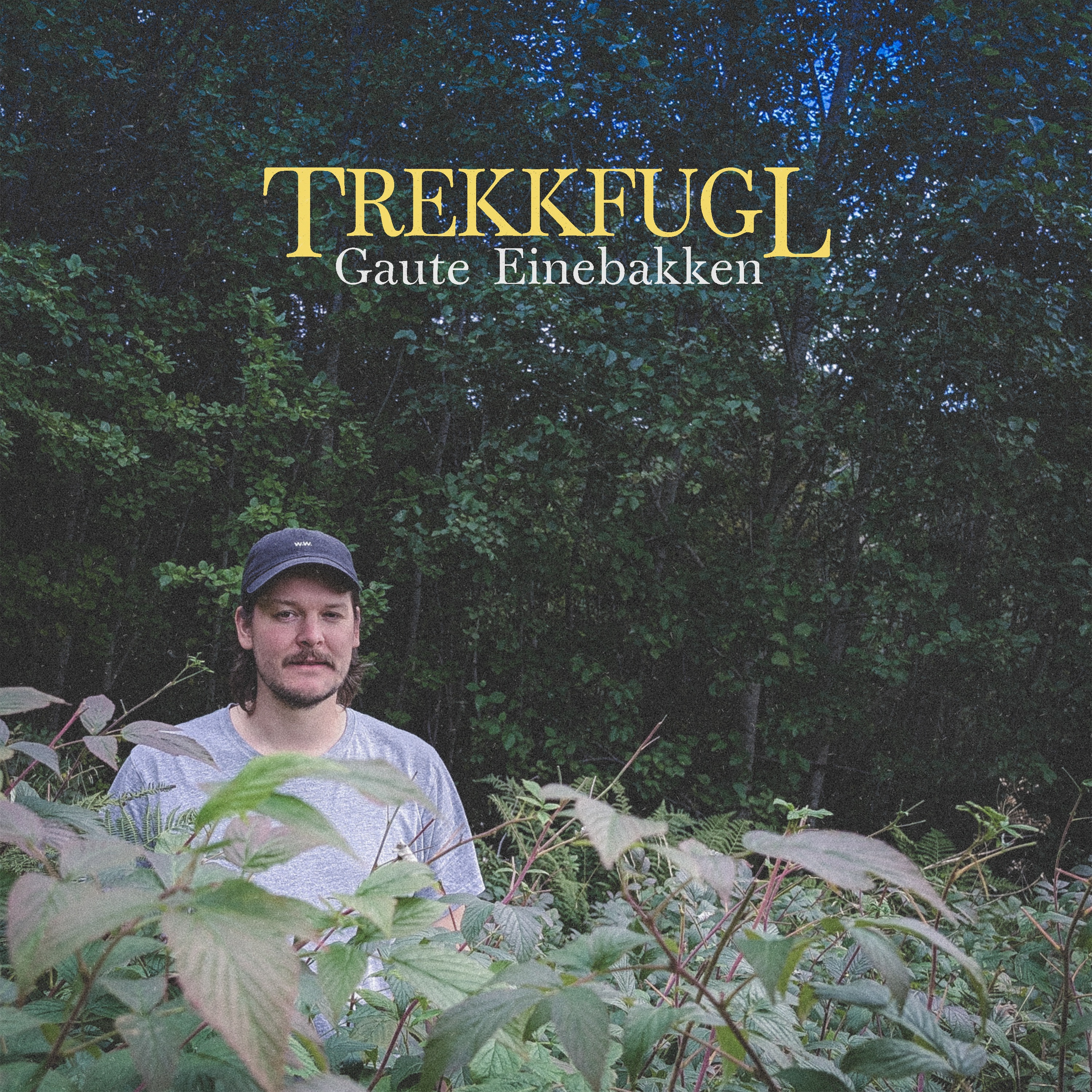 Trekkfugl - Single