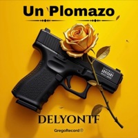 Un Plomazo - Single - Delyon